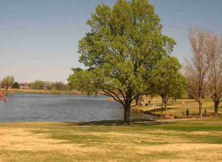 Amarillo Texas: Pond and park adjacent to Amarillo Botanical Gardens.