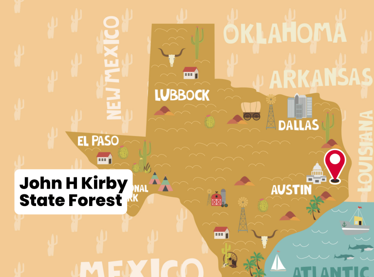 John Henry Kirby State Forest