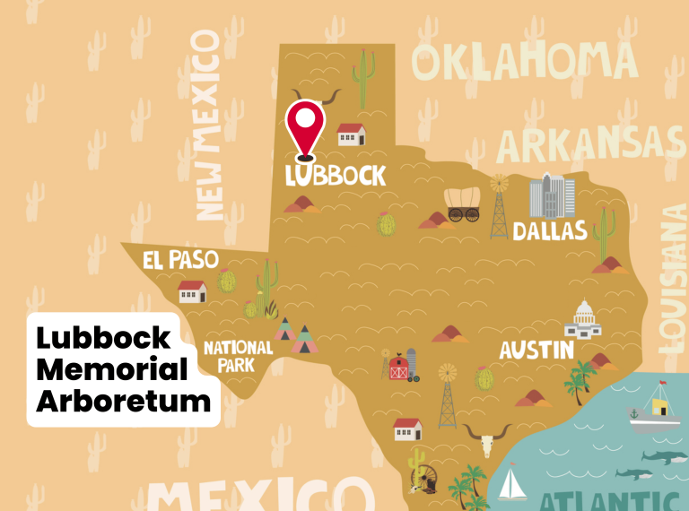 Lubbock Memorial Arboretum