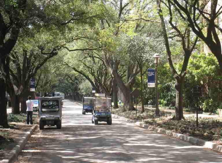 Lynn R. Lowrey Arboretum