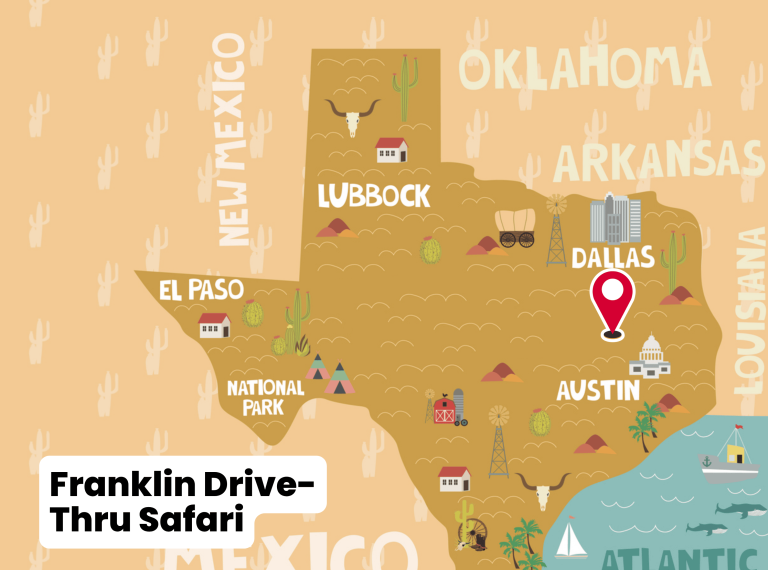 Franklin Drive-Thru Safari (Franklin)