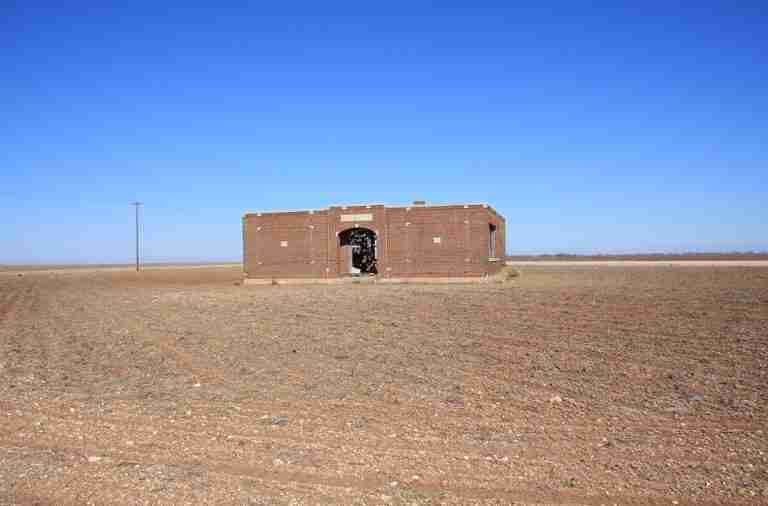 Mesquite