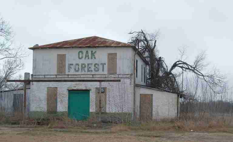 Oak Forest