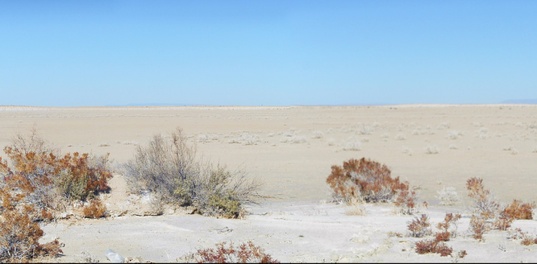 Salt Flat