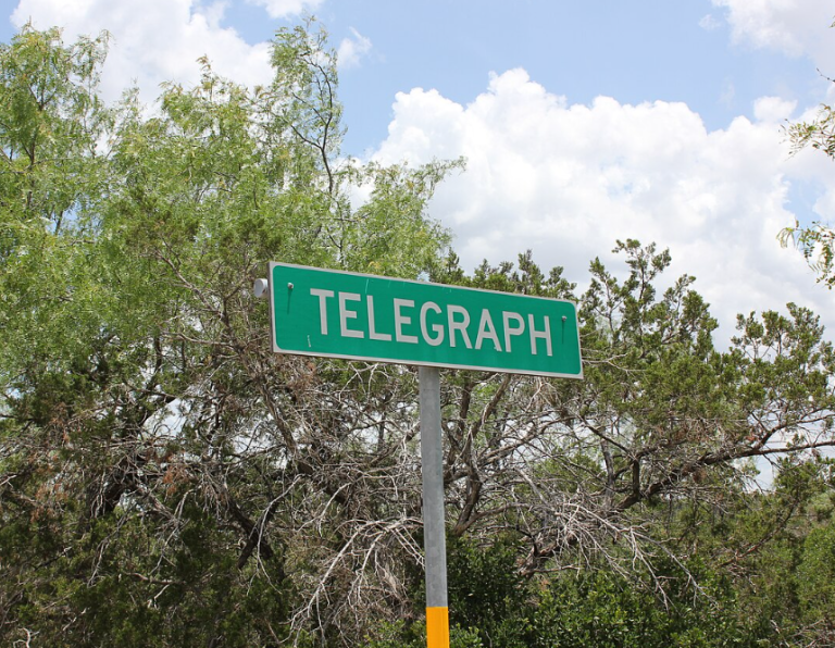 Telegraph 768x596