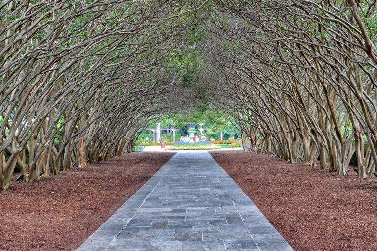 Dallas Arboretum & Botanical Garden: A 66-Acre Oasis of Color and Conservation in Dallas