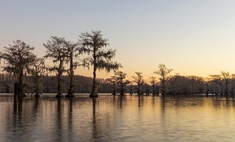 Caddo Lake