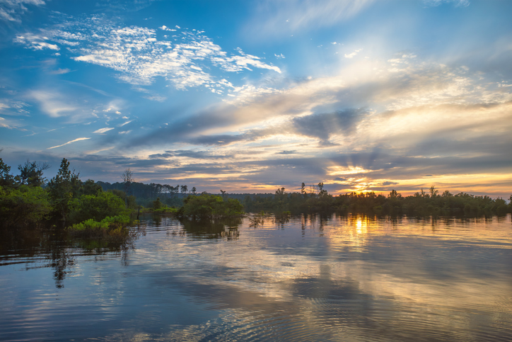 Sam Rayburn Reservoir Overlook