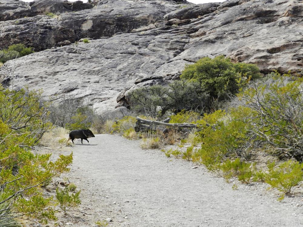 Hueco Tanks State Park