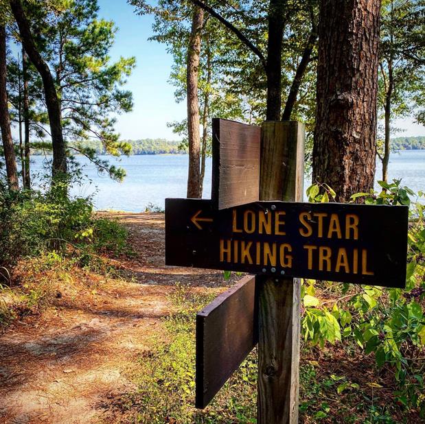Lone Star Hiking Trail &ndash; Sam Houston National Forest