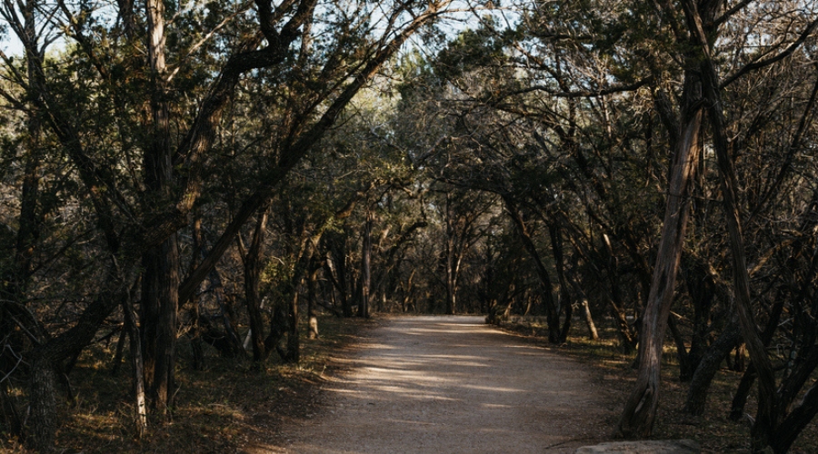Trail to Pedernales Falls in Pedernales Falls State Park
