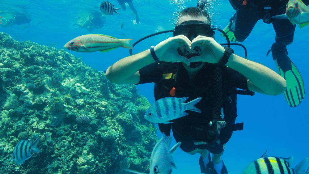Why South Texas Diving Is Worth Exploring
