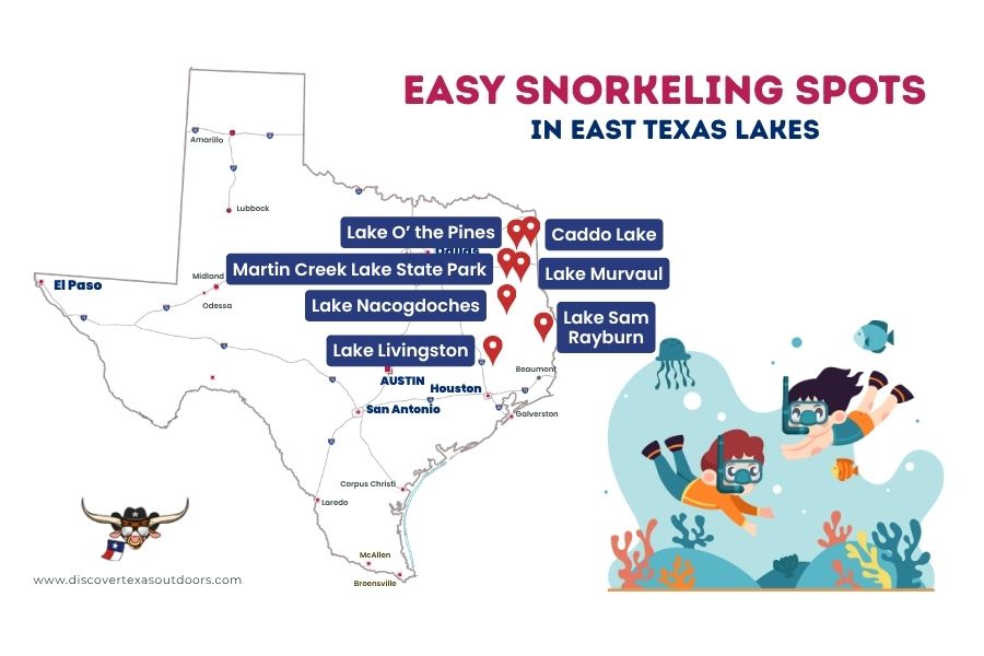 Easy Snorkeling Spots in East Texas Lakes