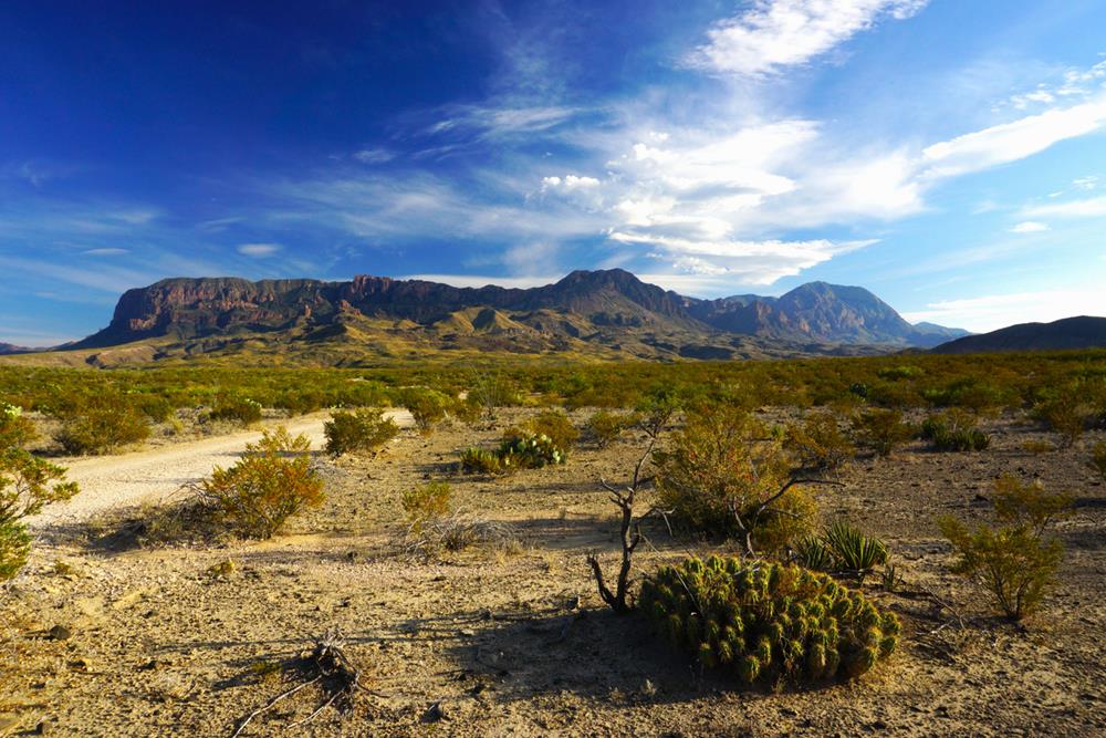 Big Bend Region