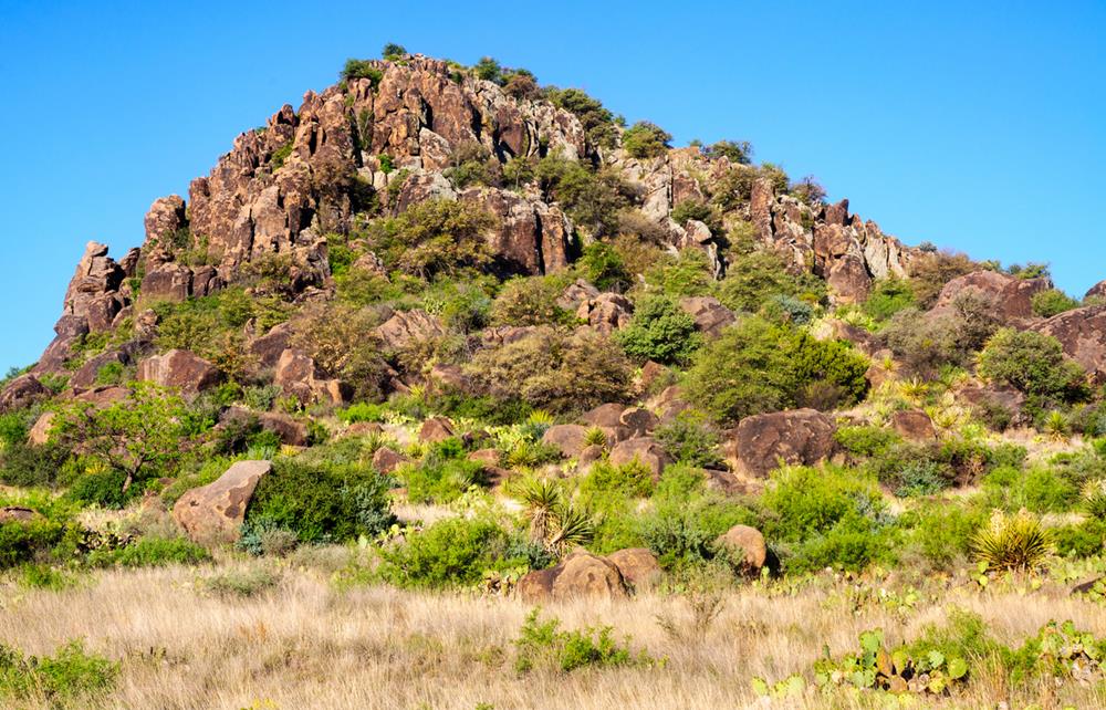Davis Mountains