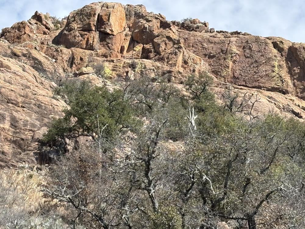 Enchanted Rock in the Fredericksburg Area