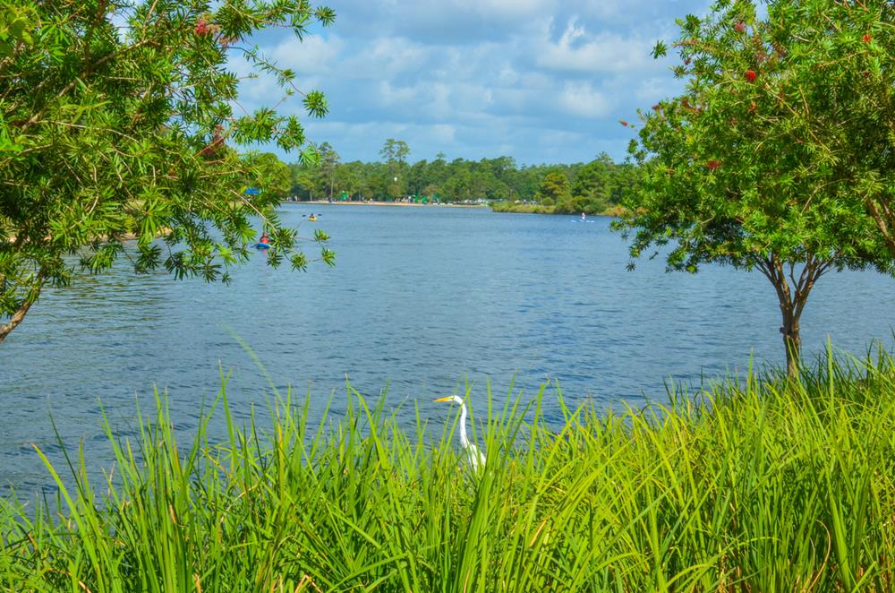 Environmental Responsibility on Texas Rivers