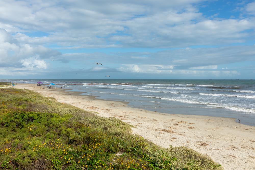 Galveston Island