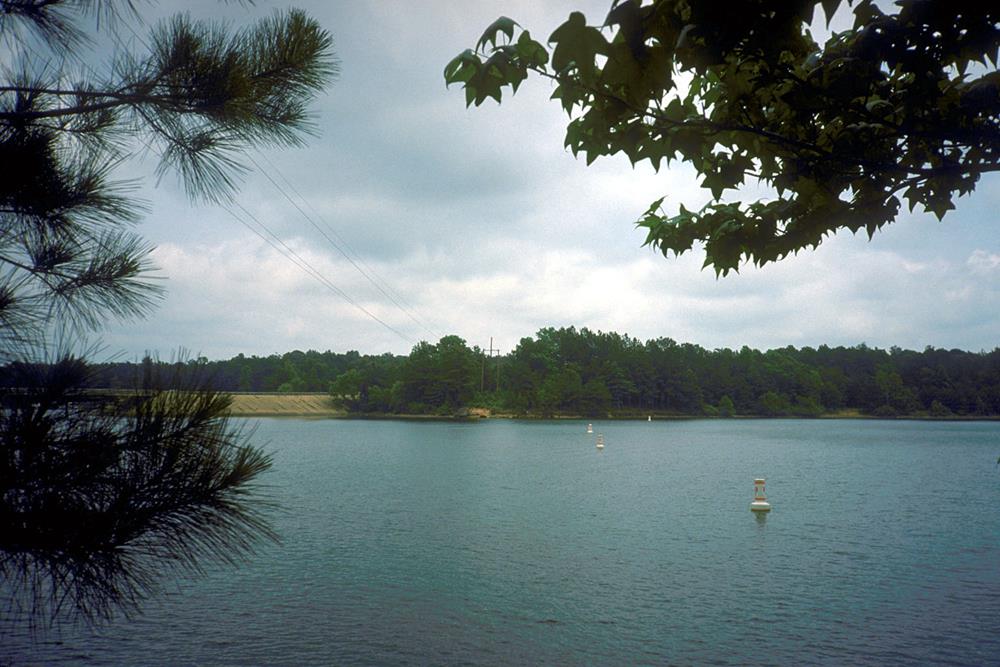 Lake O’ the Pines