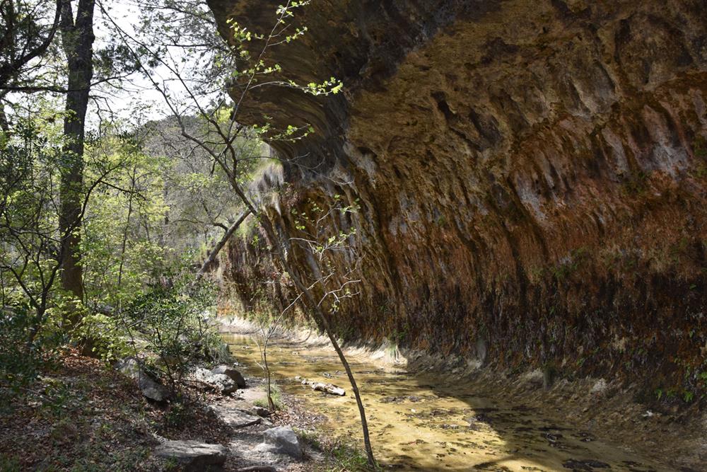 Lost Maples State Natural Area
