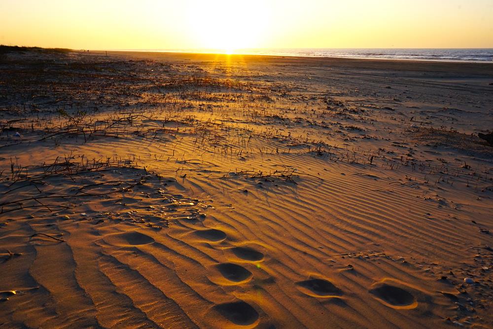 Matagorda Bay Area