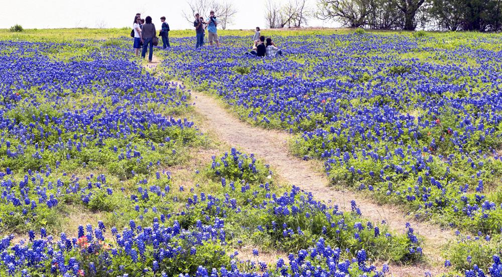 North Texas