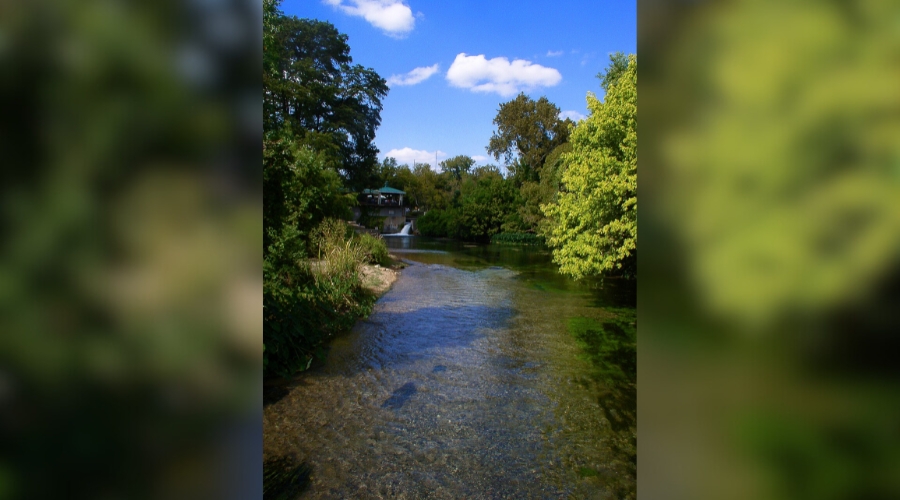Downstream from the headwaters of the San Marcos River