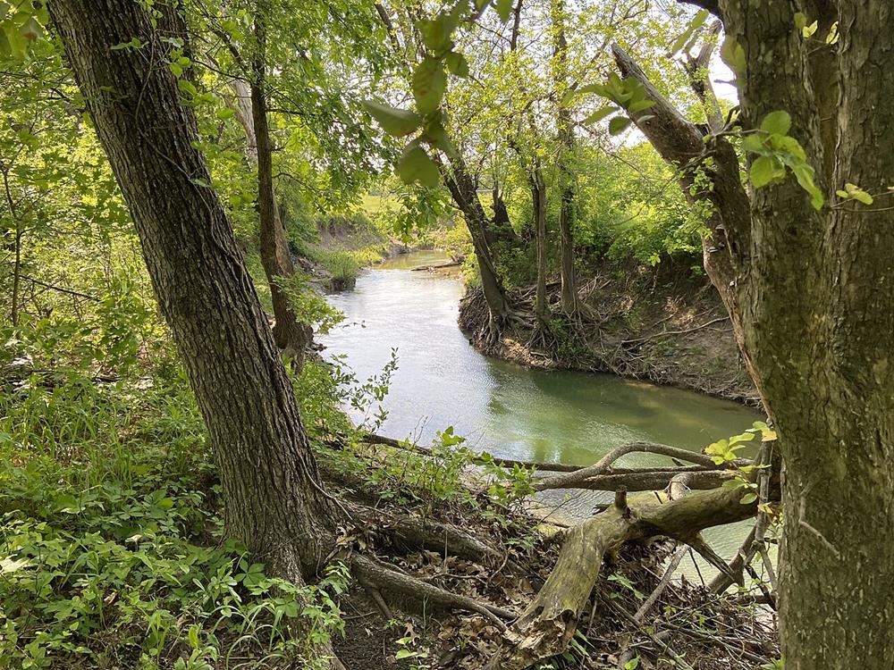 Rowlett Creek Preserve
