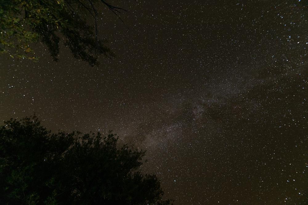 Night sky in Texas