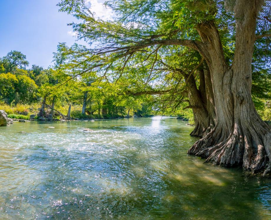 The Guadalupe River