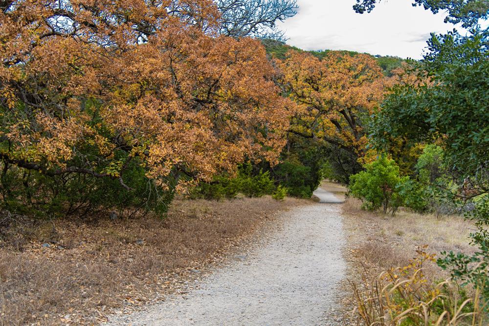 Trail Maintenance and Stewardship