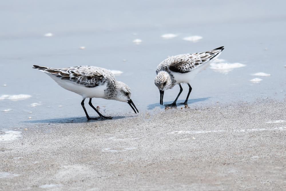 Why Winter Is Prime Time on the Texas Coast