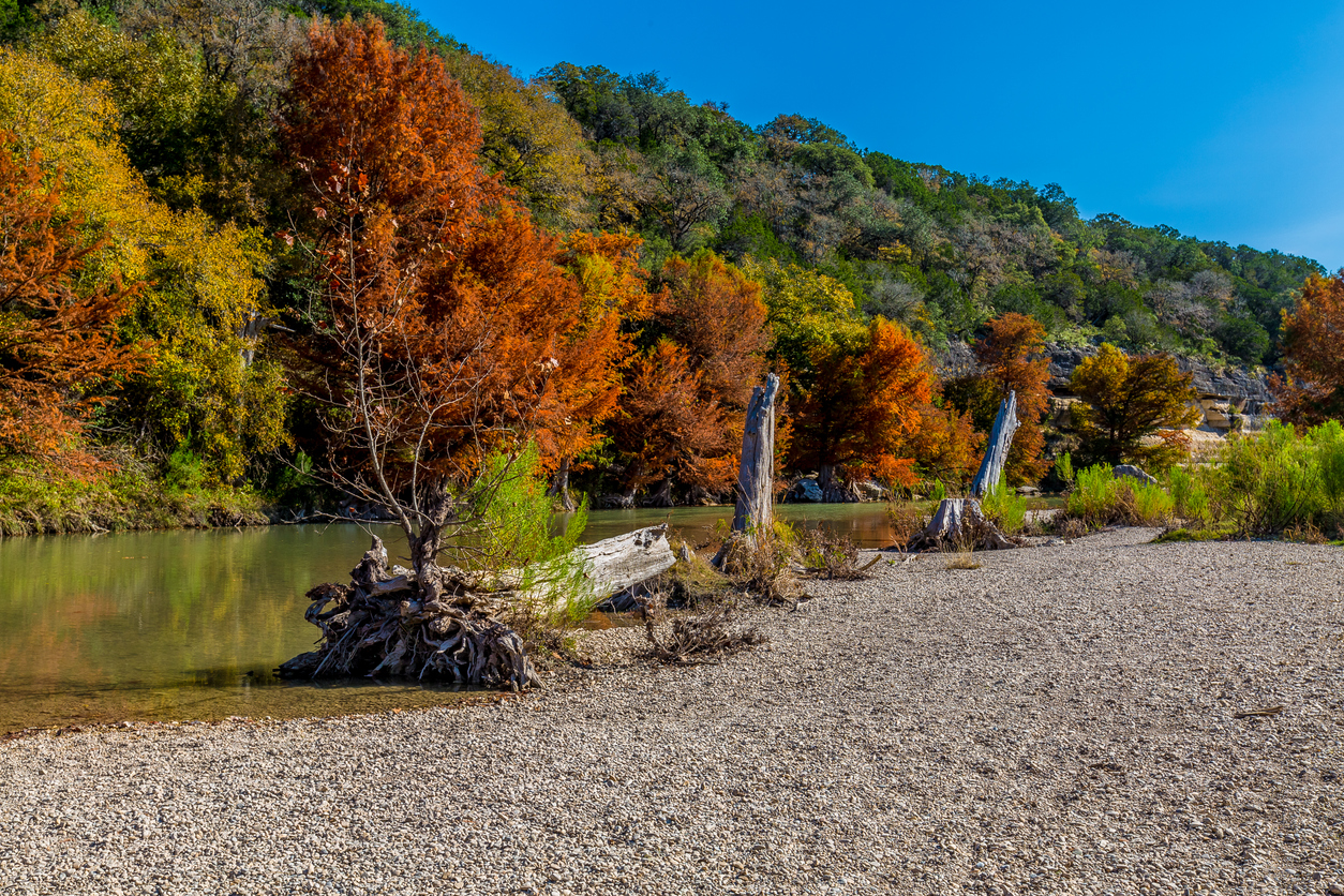 Fall Foliage at Guadalupe State Park, Texas
