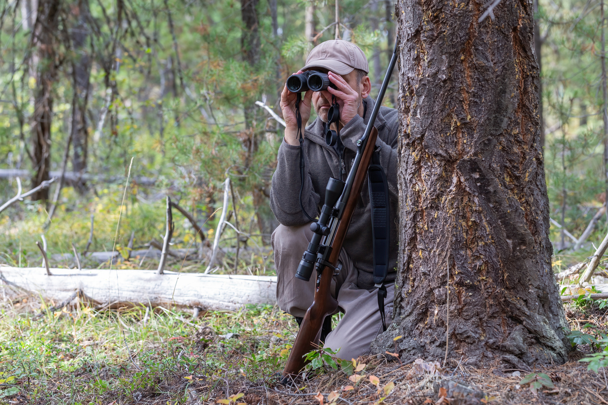 Hunter with binoculars and rifle in the forest