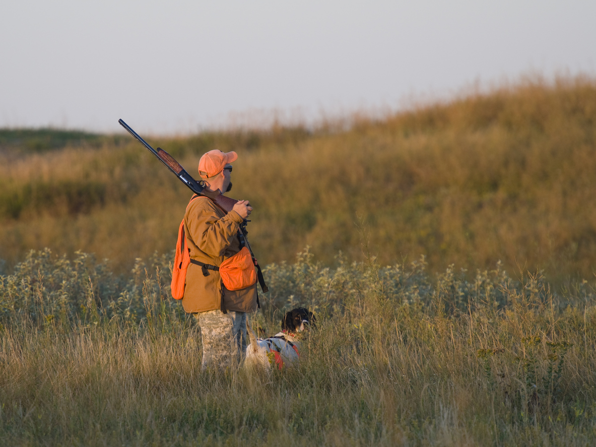 Hunter with his dog holding a rifle looking for prey