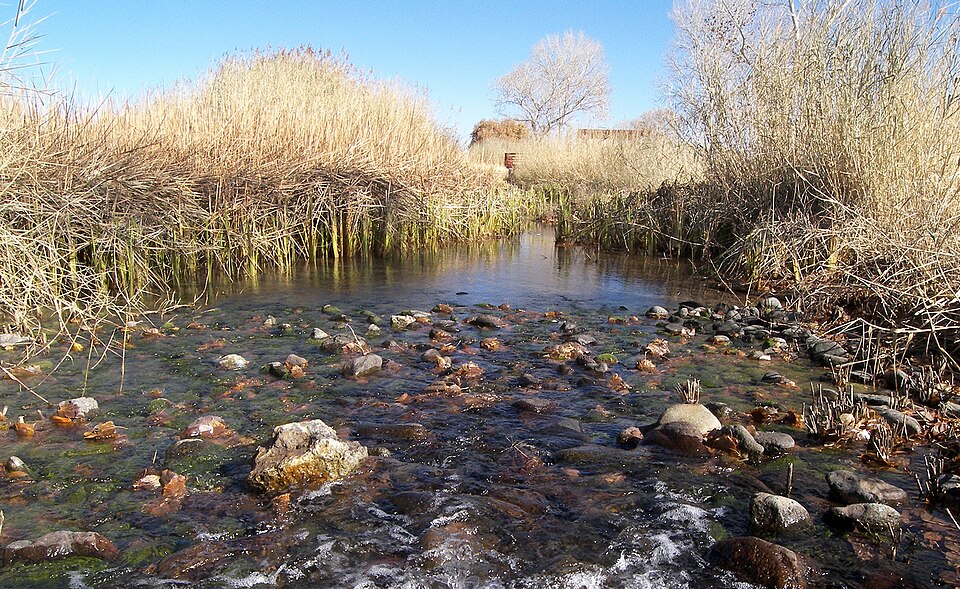 The restored cienega at Balmorhea State Park