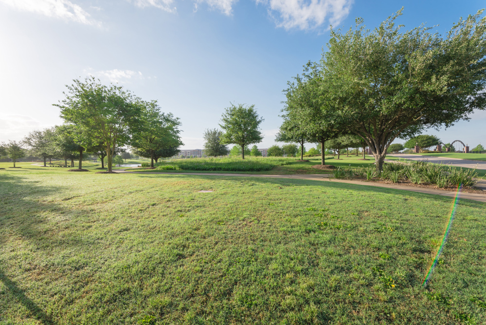Brooks Lake and Nearby Green Spaces