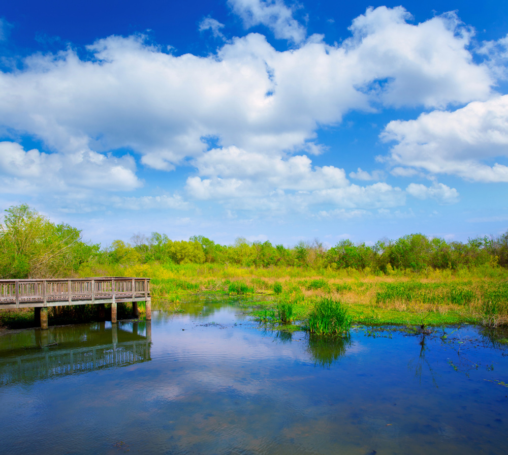 Cullinan Park: A More Natural Escape