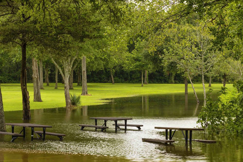 Oyster Creek Park: A Local Favorite