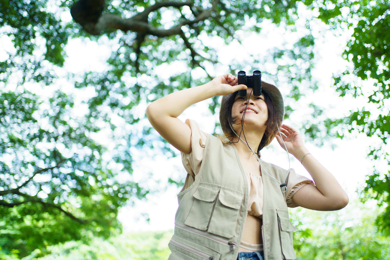 Asian woman uses a binoculars to observe a wild birds in nature