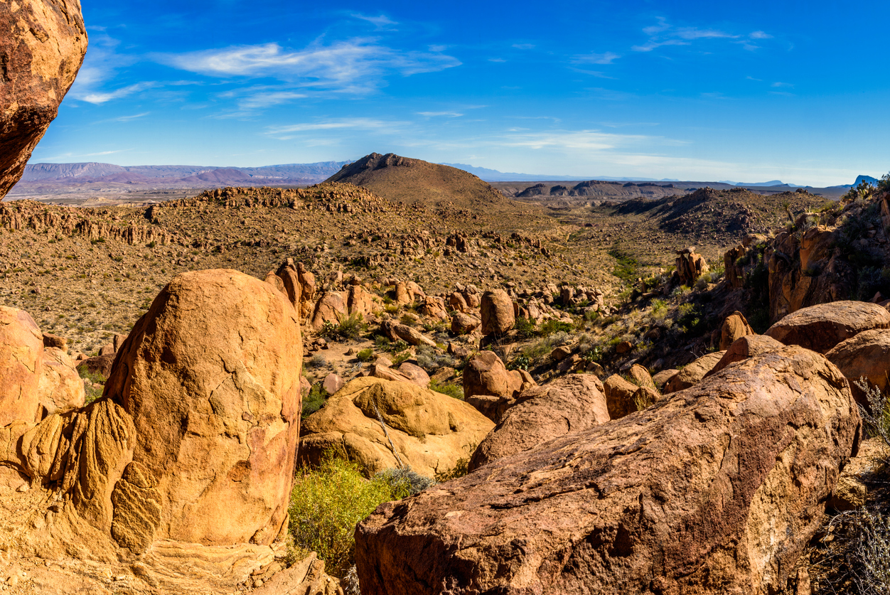 Desert Wonderland