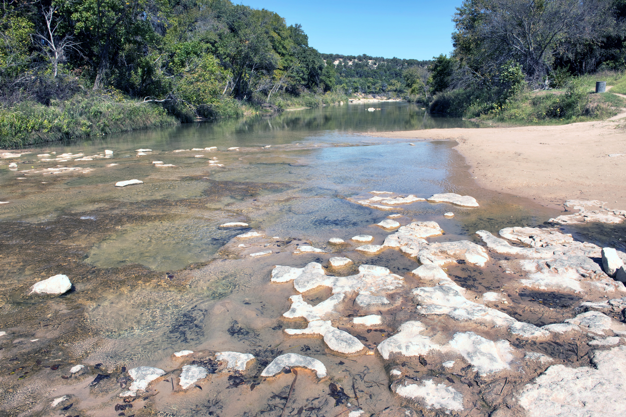 Dinosaur Tracks