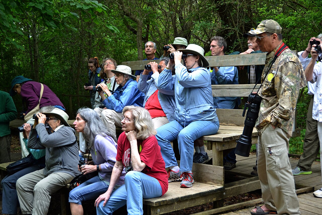 Eager Birders at the Drip at Boy Scout Woods
