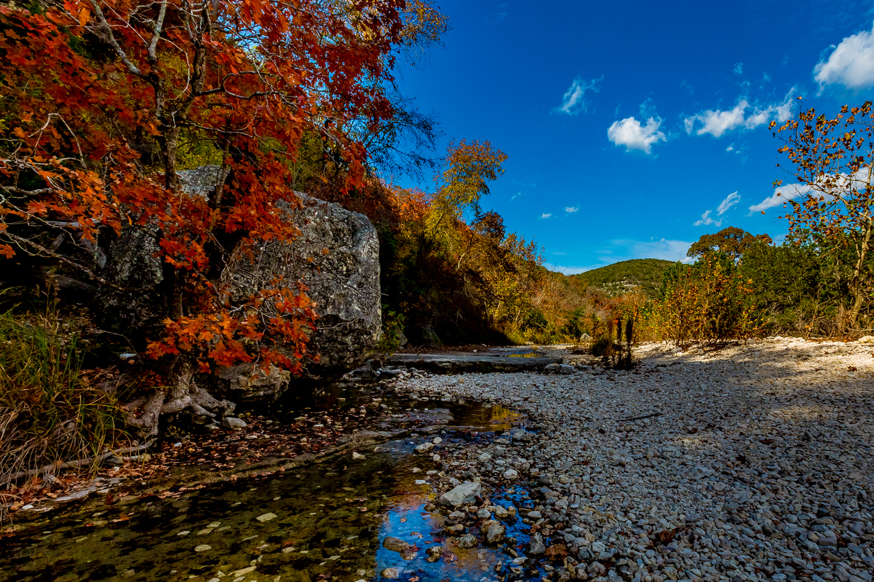 Lost Maples State Park, Texas
