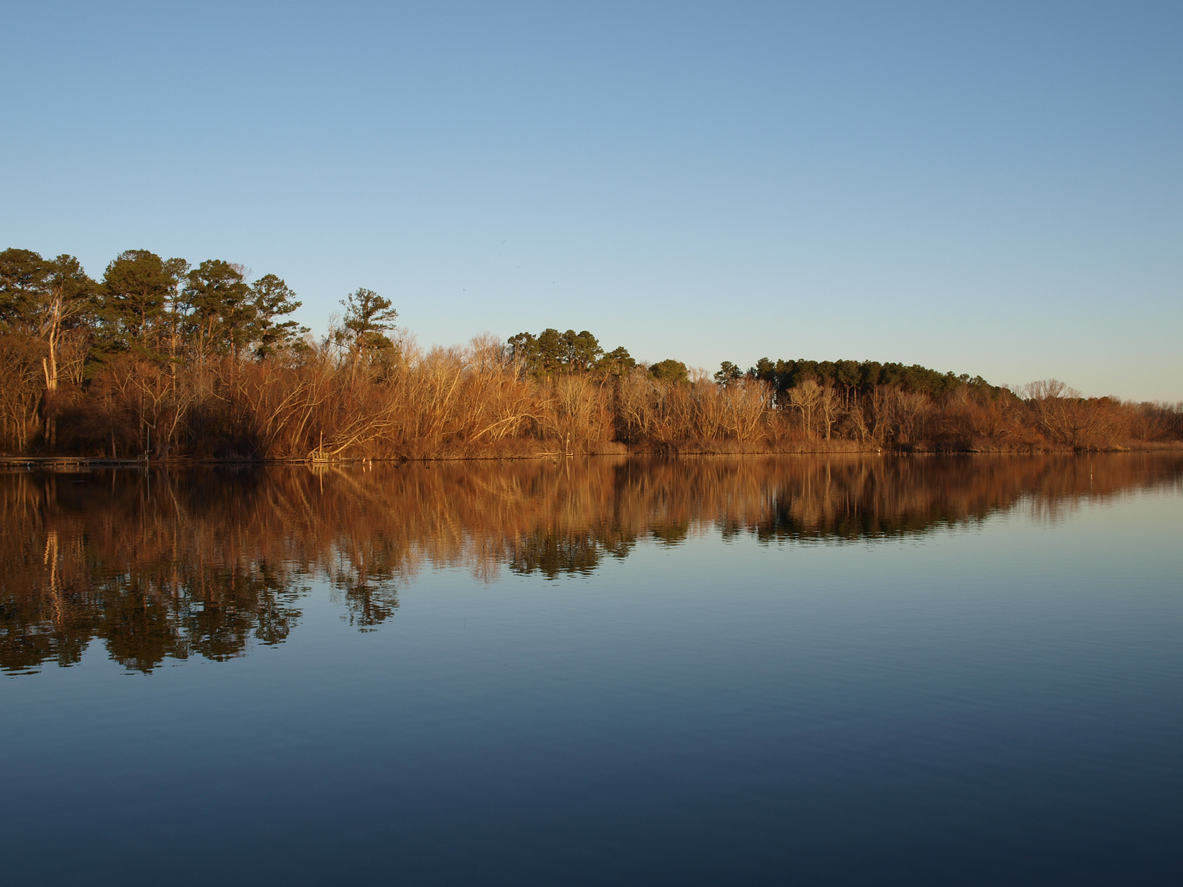Morning of Reflection