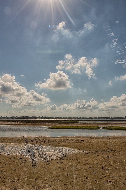 Near Corpus Christi, Texas