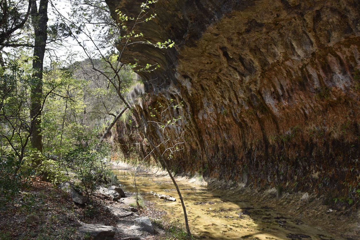 Path by rocky cliff with forest trees in Lost Maples State Park, Texas