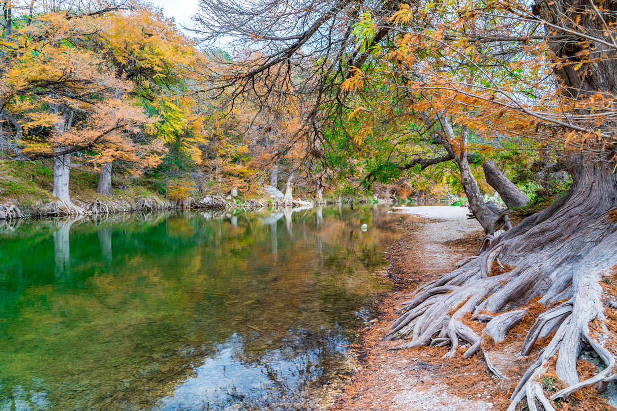 Serene riverbank with autumn trees