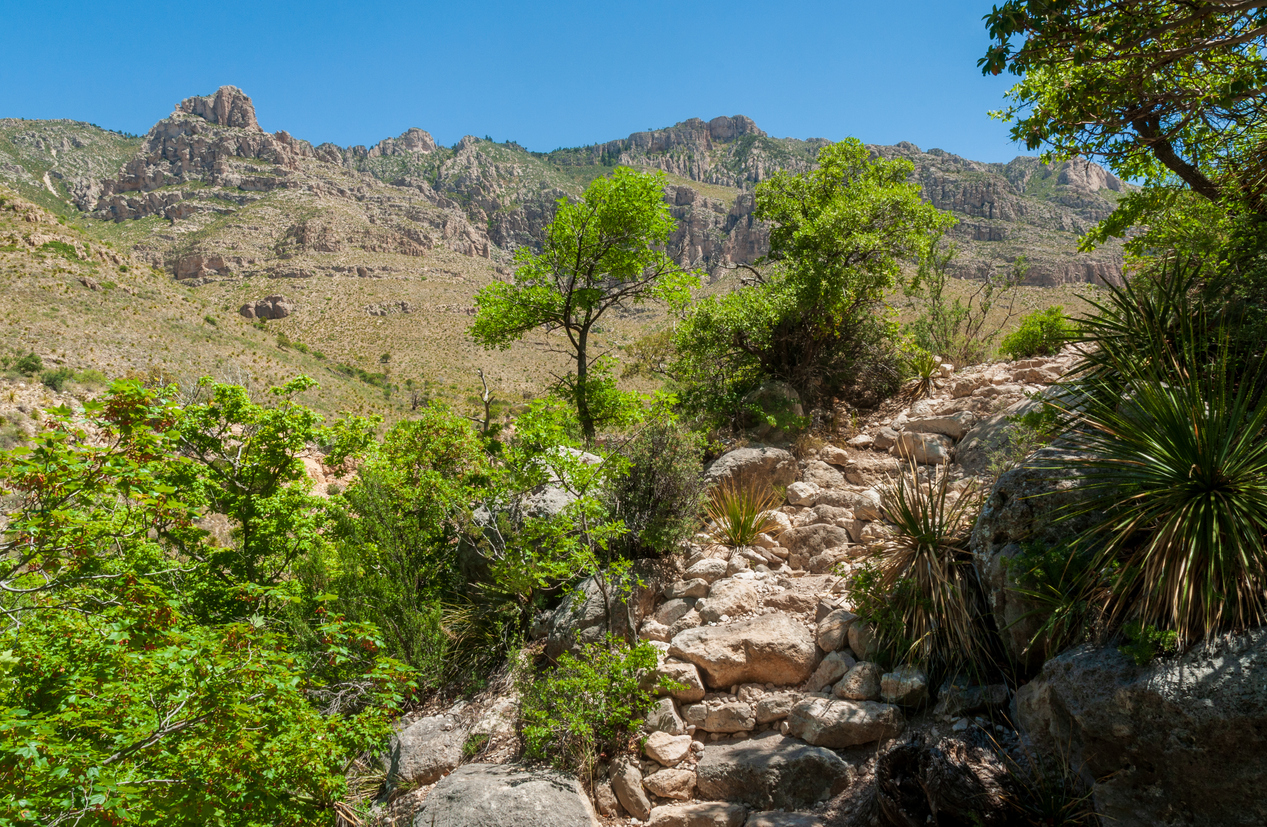 The Devil's Hall Trail at Guadalupe Mountains National Park in Western Texas