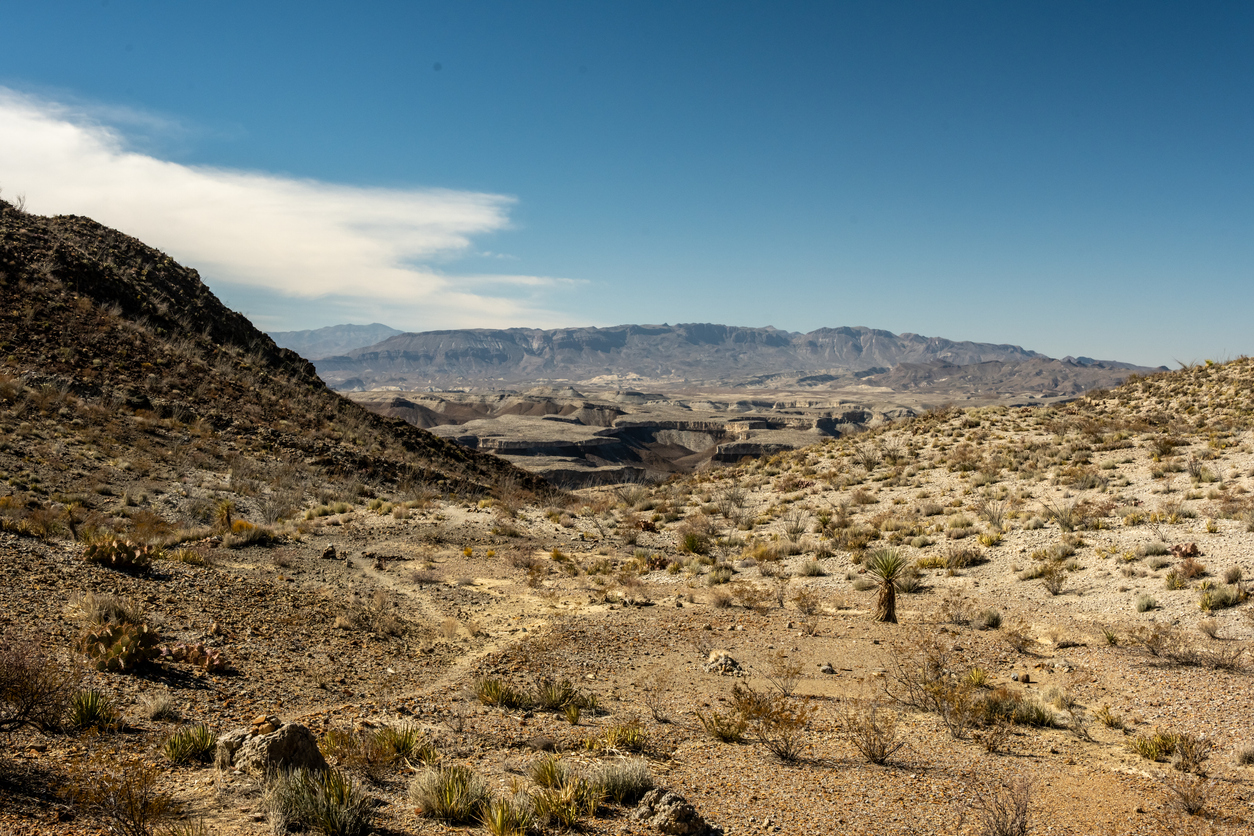 Trail Cuts Across Mesa De Anguilla In Big Bend